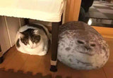 YesWeTrend™ Fluffy Plush Seal Pillow