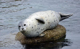 YesWeTrend™ Fluffy Plush Seal Pillow